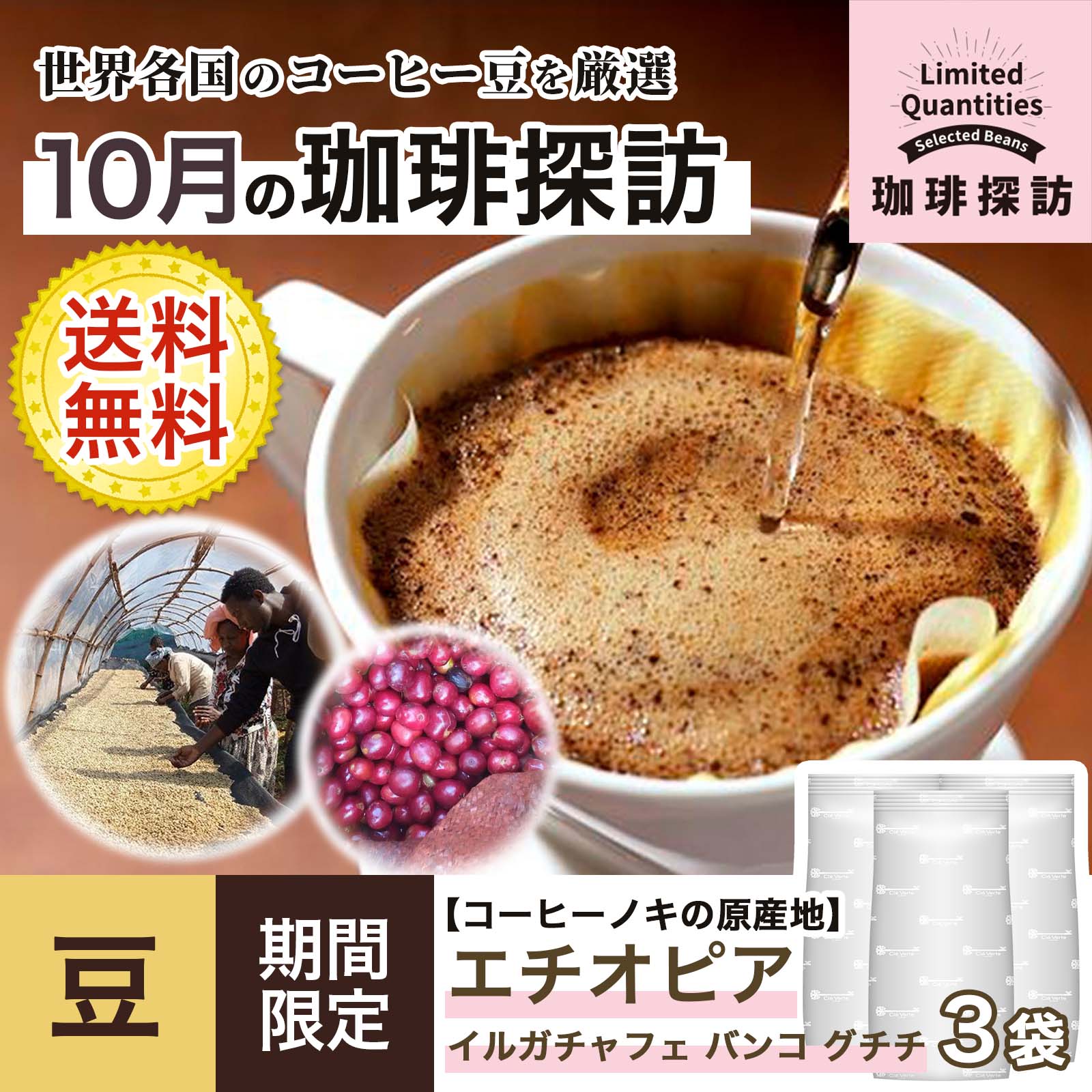 各国コーヒー＆紅茶まとめ売り - 酒