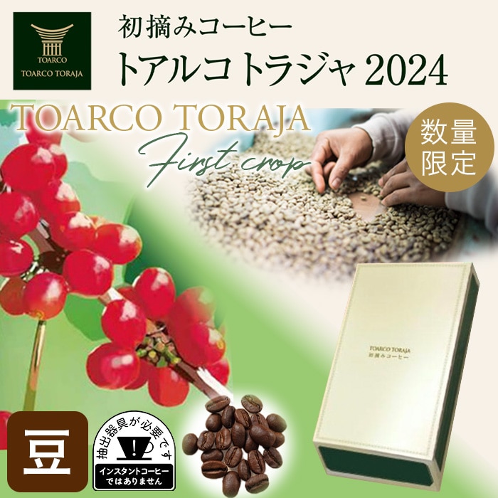 【数量限定】初摘みコーヒー トアルコ トラジャ 2024 豆 ( 200g × 1箱 )