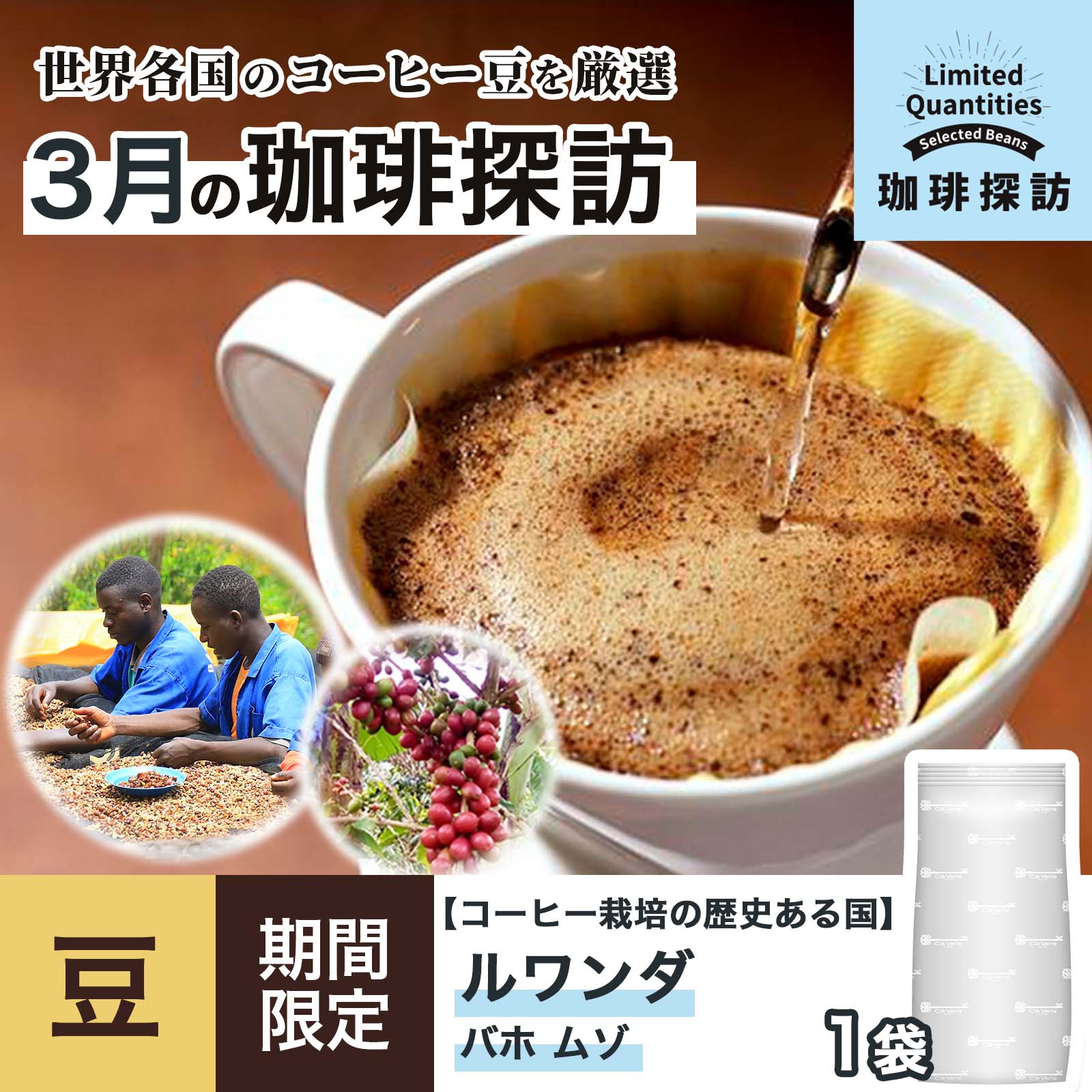 コーヒーの総合専門店】用途から探す/アイスコーヒー