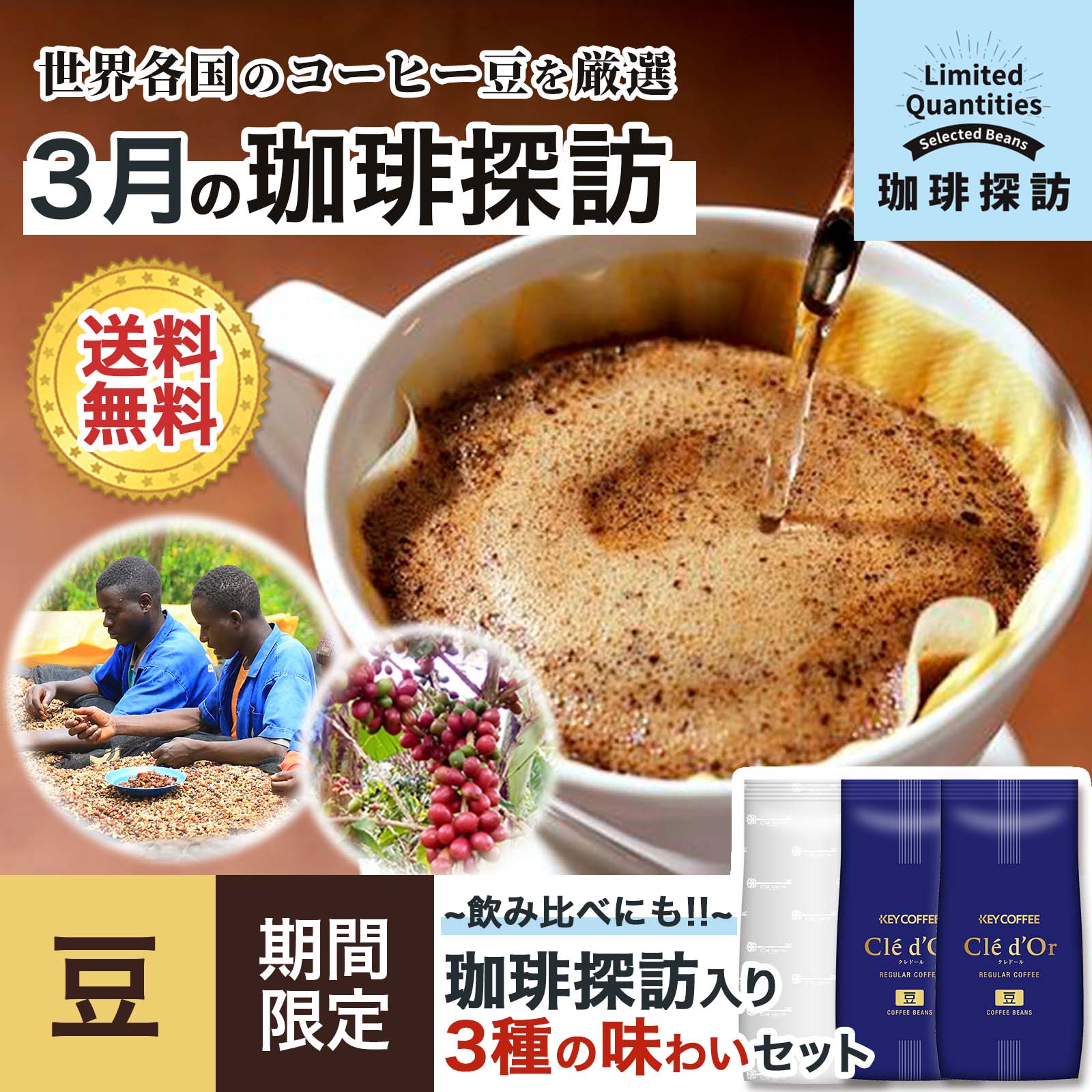 コーヒーの総合専門店】用途から探す/アイスコーヒー