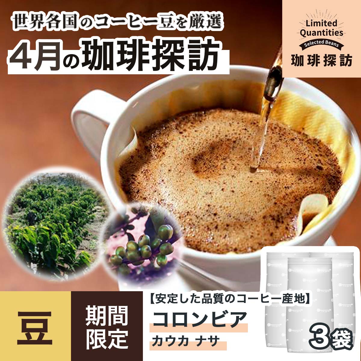 コーヒーの総合専門店】用途から探す/アイスコーヒー